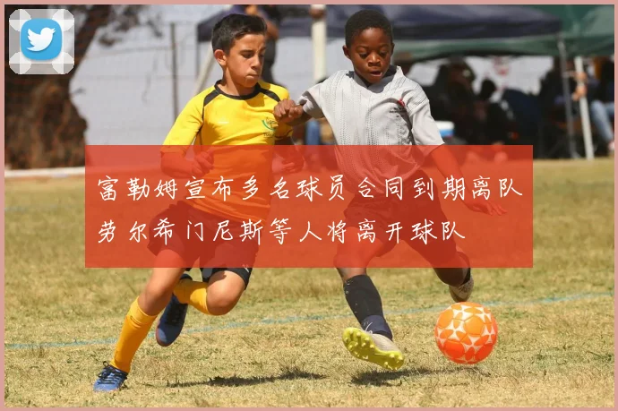 富勒姆宣布多名球员合同到期离队劳尔希门尼斯等人将离开球队
